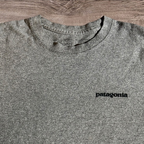 Patagonia Heather Gray Men's Short Sleeve Tee - Picture 2 of 6